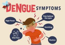 தமிழகத்தில் 20 நாள்களில் 349 பேருக்கு டெங்கு பாதிப்பு!