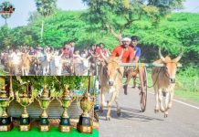 கத்தக்குறிச்சி அருகே 30 ஆம் ஆண்டு மாபெரும் மாட்டு வண்டி எல்லை பந்தயம்