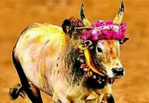 ஜல்லிக்கட்டுக்கு வழிகாட்டு நெறிமுறைகள் வெளியீடு ஜல்லிக்கட்டு போட்டி நடத்துவதற்கான விண்ணப்பங்கள் அனைத்தும் இணையவழியில் மட்டுமே அனுப்ப வேண்டும்.