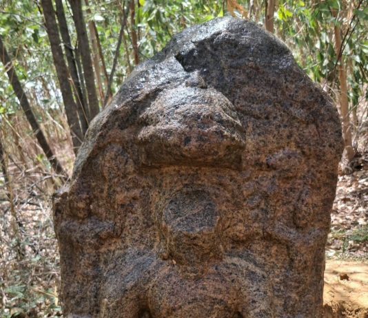 கந்தர்வகோட்டை அடுத்த மெய்க்குடிப்பட்டியில் 10-ஆம் நூற்றாண்டு சமண தீர்த்தங்கரர் சிற்பம் கண்டெடுப்பு!